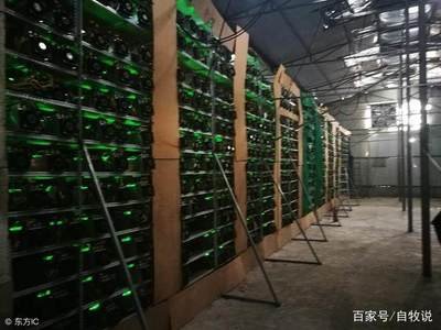A renewable energy-powered cryptocurrency mining farm