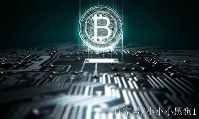 A sprawling mining farm filled with rows of operational mining rigs