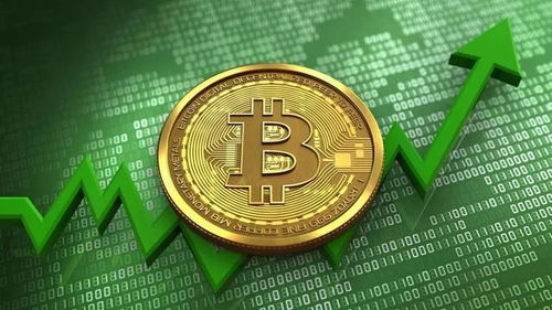 A collection of Bitcoin mining machines humming efficiently.